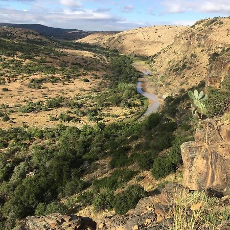 Waterford Koedoeskop Private Mountain Reserve מראה חיצוני תמונה