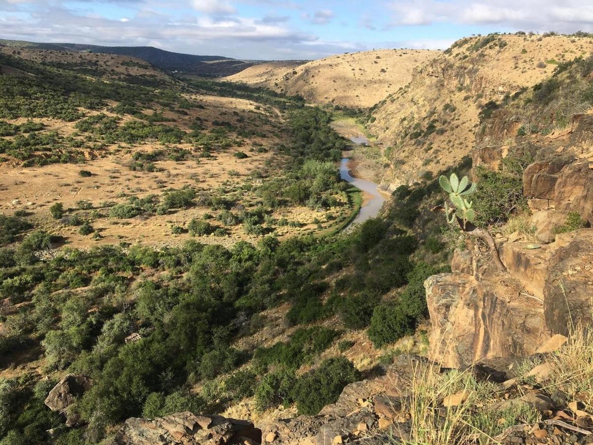 Waterford Koedoeskop Private Mountain Reserve מראה חיצוני תמונה