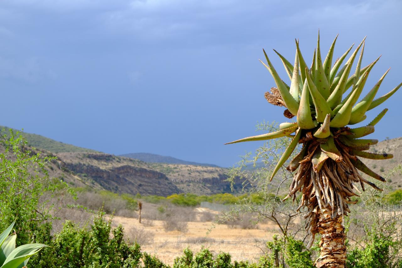 Waterford Koedoeskop Private Mountain Reserve מראה חיצוני תמונה