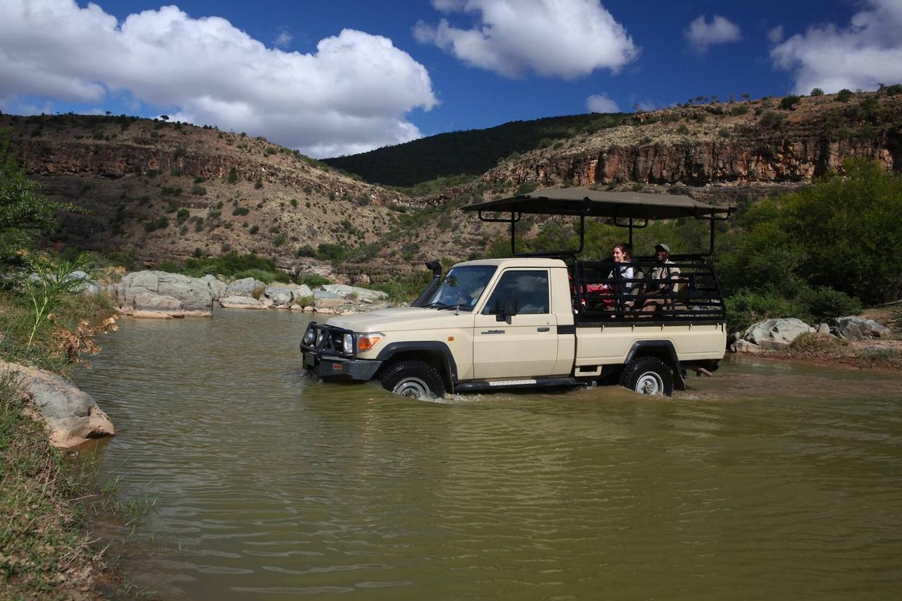 Waterford Koedoeskop Private Mountain Reserve מראה חיצוני תמונה